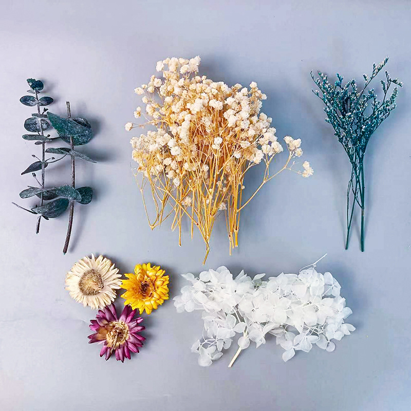 Craft Embellishments - 1 Paket Set Bunga Kering Beraneka