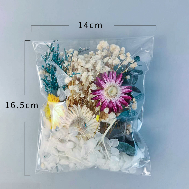 1 Paket Set Bunga Kering Beran - Craft Embellishments ulasan dan harga